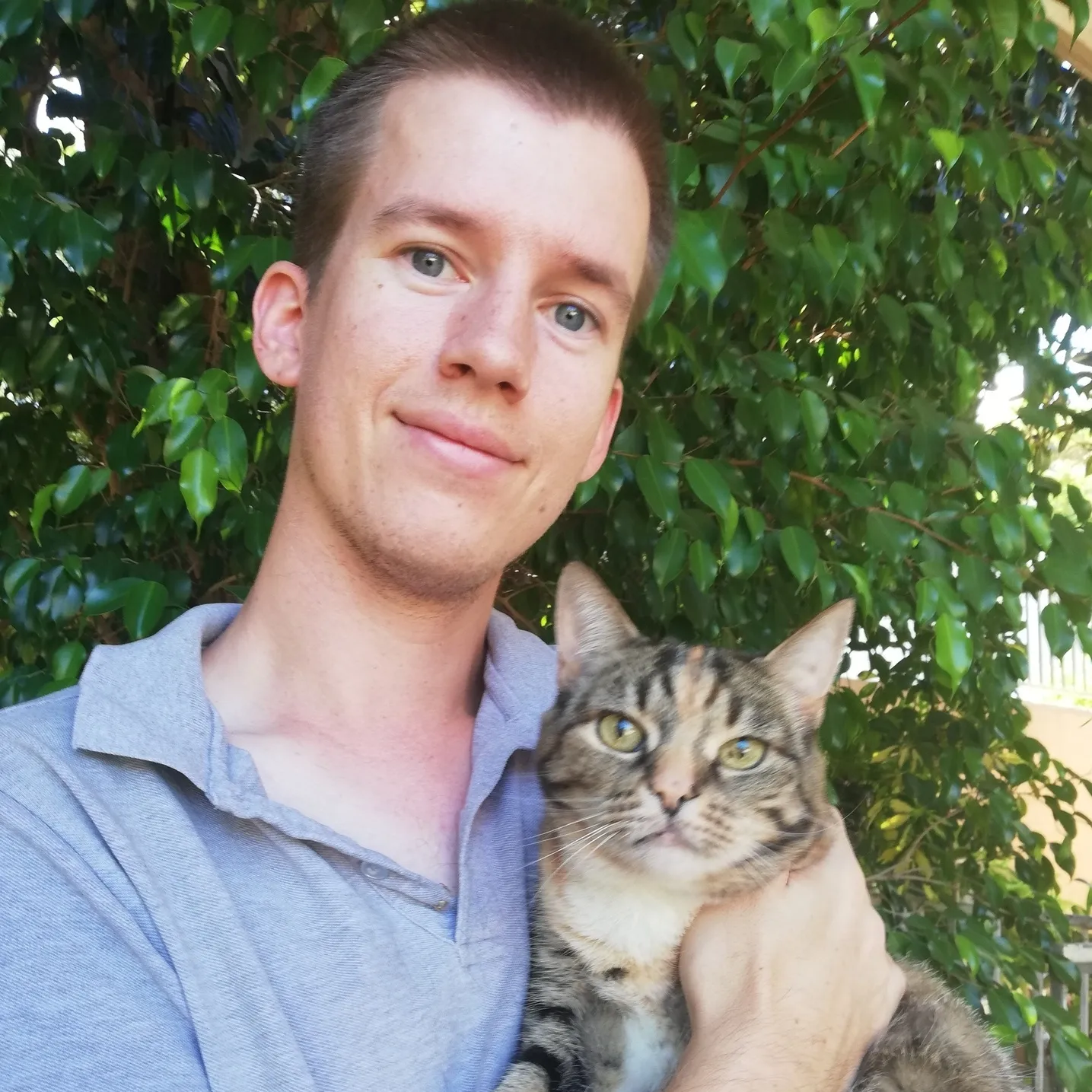 Rijk de Wet, Website manager